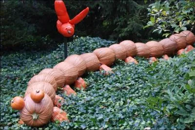 Toujours visible  New-York dans ce jardin, une belle ide que ce chemin de citrouilles qui est... ?