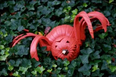 Un peu moins sympathique en ce jardin, mais simple  raliser, voici Madame. . ?