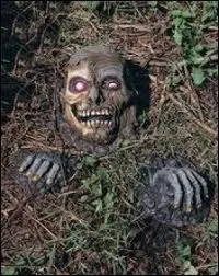 Si vous ralisez ce genre d'effets dans le parterre de fleurs, prvenez la famille quand mme ! On pourrait se croire dans un clbre clip musical, qui a pour titre... ?