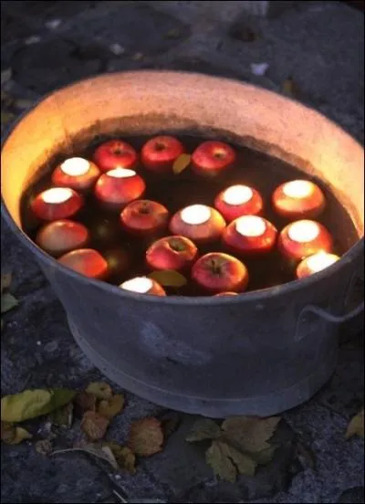 Quand le soir tombe, la lumire qui provient de ces lumignons est presqu'inquitante car elle va vaciller au fil de l'eau. Quel objet compose les lumignons ?