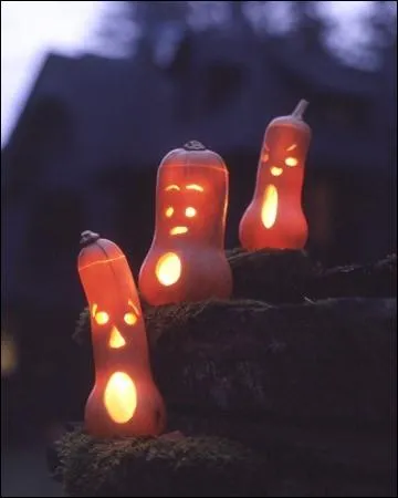 Voici d'inquitants chanteurs ou hurleurs de la nuit, raliss avec des courges de la varit... ?