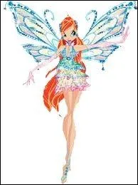 Pourquoi celui de Bloom n'est-il pas complet ?