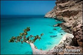 Socotra est une île du golfe d'Aden. À quel pays appartient-elle ?