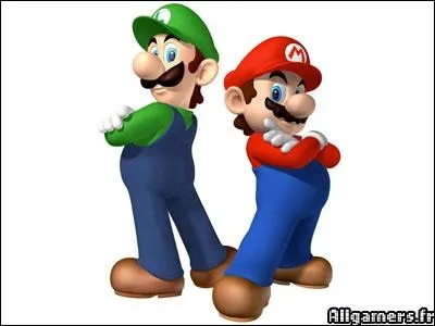 Quel lien unit Mario et Luigi ?