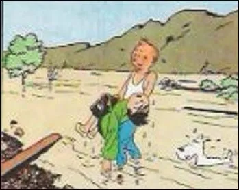 Dans  le Lotus Bleu , Tintin sauve Tchang de la noyade dans le Yangzi Jiang, il en ressort les cheveux :
