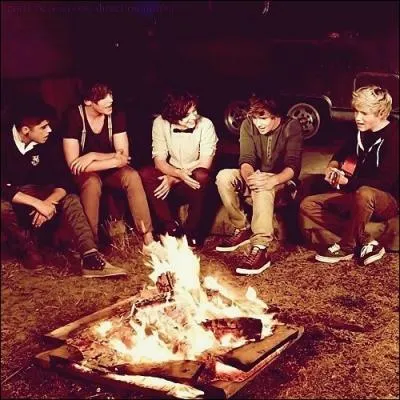 Qui a dit :  J'aime les filles qui mangent des carottes  ?