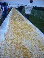 Elle est la plus longue des pizzas avec une longueur de...