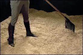  quel rythme nettoie-t-on la litire ?