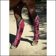 Quel est le nom de cette protection de transport ?