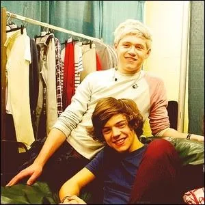 Comment s'appelle la bromance de Harry et Niall ?