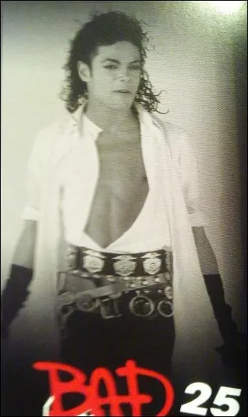 Quand est sorti l'album  Bad 25  ?