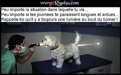 30 avril : dbut des travaux de percement du tunnel du Mont-Blanc.