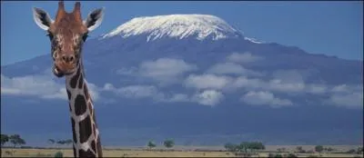 26 avril : Le Tanganyika et Zanzibar fusionnent pour former la Rpublique Unie de Tanzanie.