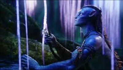 Ce sanctuaire sacr, grce auquel les Na'vis peuvent entendre les voix des anctres grce  leurs queues, est appel :