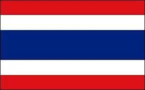 250 lphants participent  cette fte donne au stade Srinarong et dans les rues de Surin et des environs. Ils excutent acrobaties, parades sous le regard de milliers de spectateurs. O cela ?