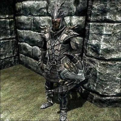 Quel est le nom de cette armure ?