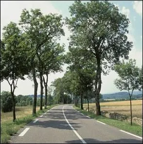 En quelle anne le chimiste belge Edmund J. Desmedt ralise-t-il, aux abords de Perpignan, la premire chausse revtue d'asphalte naturel ?