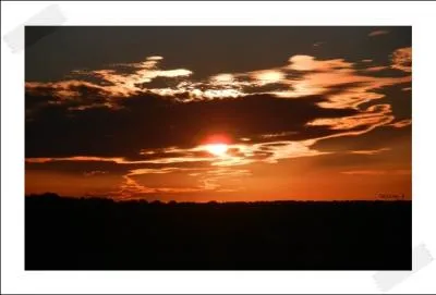 Quel groupe de rock franais form en 1981 a-t-il  son rpertoire une chanson intitule :  Ce soir le ciel  ?