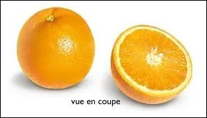 Quel est ce fruit ?