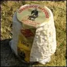 Quel est ce fromage lgrement conique, haut de 6cm et pesant 150g environ,  la crote beige avec des moisissures bleues ?