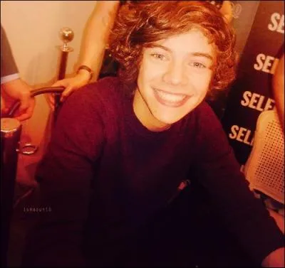 Avec quel titre Harry se qualifie-t-il aux auditions ?