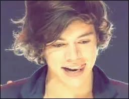 Harry a-t-il tudi  la Holmes Chapel Comprehensive School ?