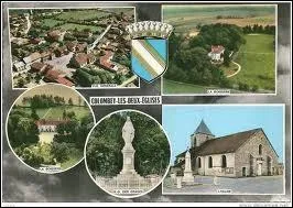 Comment nomme-t-on les habitants du village de Colombey-les-Deux-Eglises ?