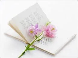  Des fleurs pour Algernon  est un roman mouvant de science fiction de Daniel Keyes, qui est Algernon ?