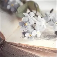 Qui a crit  Le cimetire de Prague  ?