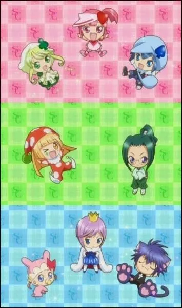 Que sont les Shugo Chara ?