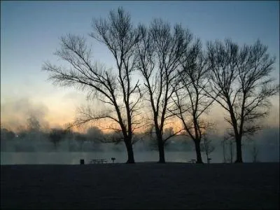 Il l'ouvre : mais hélas ! Ses (... ) tombent, perdus