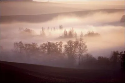 Dans l'humide épaisseur des (... ) suspendus.