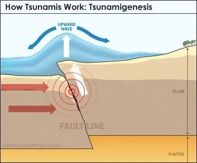 Quelle cause entre dans la formation des tsunamis ?
