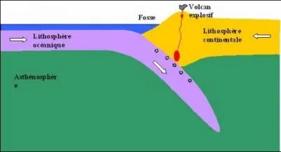 Comment appelle-t-on ce phénomène qui consiste à l'enfoncement d'une plaque tectonique (lithosphérique) sous le manteau ?