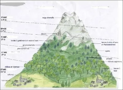 De quoi se constitue l'étage nival de cette même montagne ?