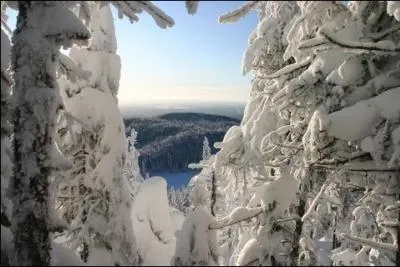 L'Or blanc" révolutionne considérablement l'économie montagnarde. De quoi s'agit-il ?