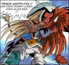 Que veut faire Sheibah ?