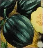 Ceci est-il un fruit exotique ou une courge ?