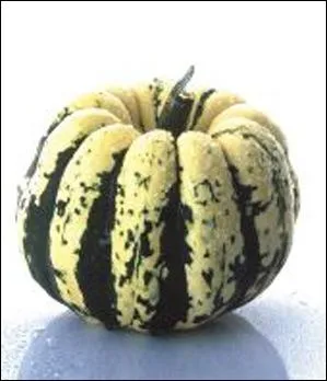 Voici une courge qui porte le doux nom de patidou. Sa chair a un got de chtaigne frache. Se mange-t-elle crue ou cuite ?