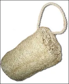 La loofah, qui sert  exfolier le corps durant le bain ou la douche, est tire des fibres de courge. Est-ce vrai ?