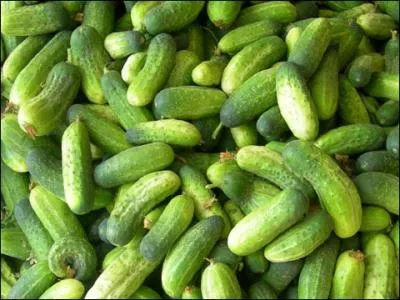 A propos, le cornichon, si dlicieux dans son vinaigre aromatis, piquant ou aigre-doux, est-il un bb concombre ou pas ?