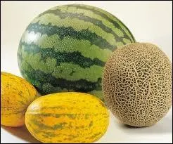 Il existe un grand nombre de varits de courges sucres consommes uniquement crues et en dessert, on peut mme en faire certaines en confiture. Celle qui est  chair rouge se nomme... ?