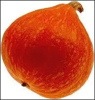 Avec cette forme de chapeau pointu, quelle est cette courge ?