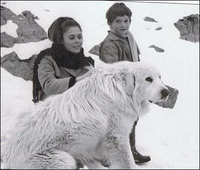 Belle est un chien :