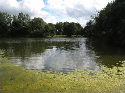 Maintenant arrtons nous  Secondigny dont l'glise Sainte-Eulalie dont le clocher octogonal rappelant celui de Parthenay-le-Vieux. Secondigny est renomm pour :
