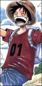 Qui a donn son chapeau  Luffy ?