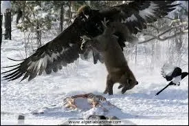 Cette photo est-elle truque ?