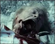 Qui se fait malencontreusement craser sur la route ?