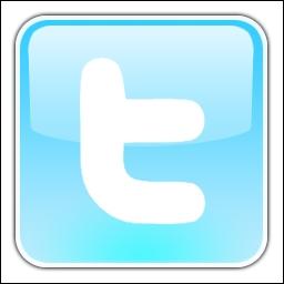 Quel rseau social est reprsent  travers ce logo ?