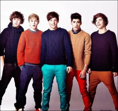 Dans quel groupe de musique jouait Harry Styles ?